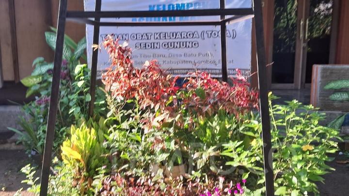 Wisata Taman Solusi Keluarga di tempat di Tibu Kuning Sekotong Lombok Barat