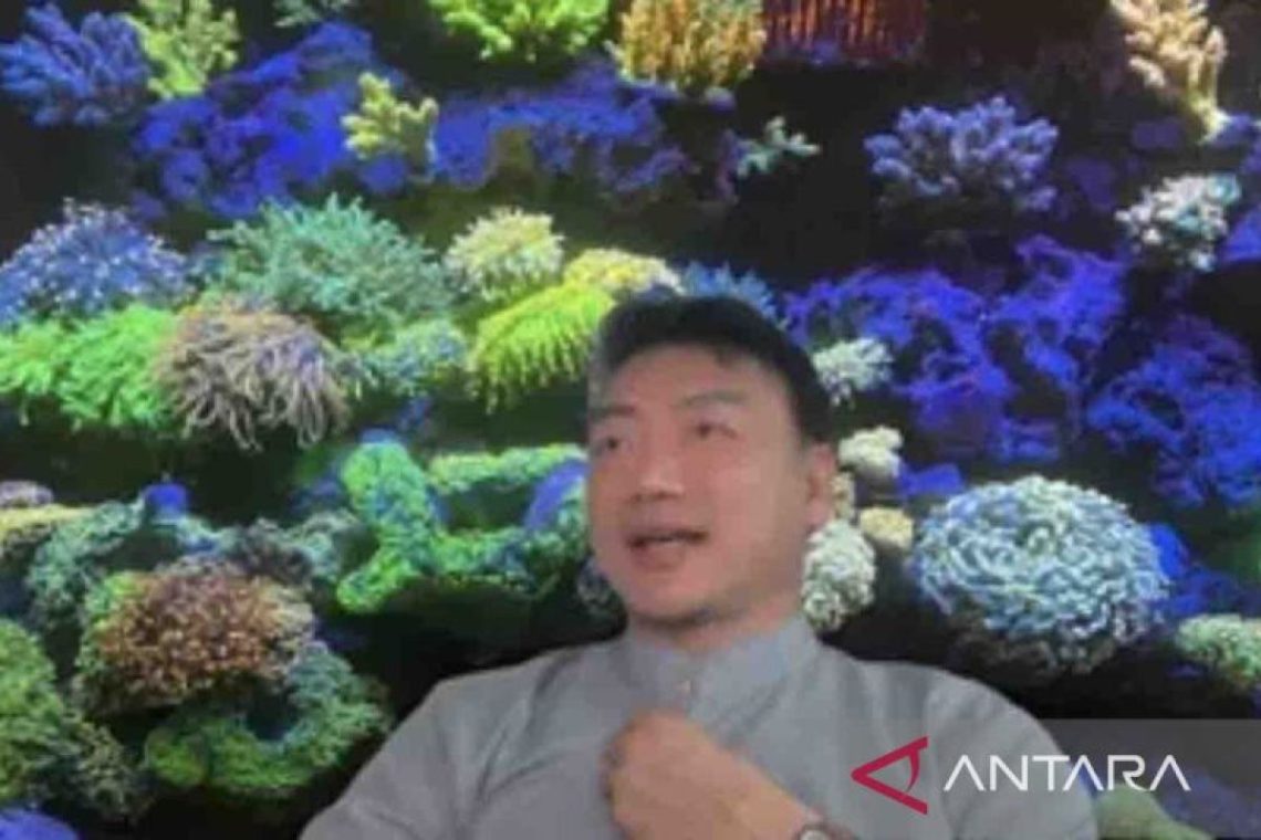 Karang hias-sarang burung walet punya potensi lingkungan ekonomi tinggi di tempat area Amerika